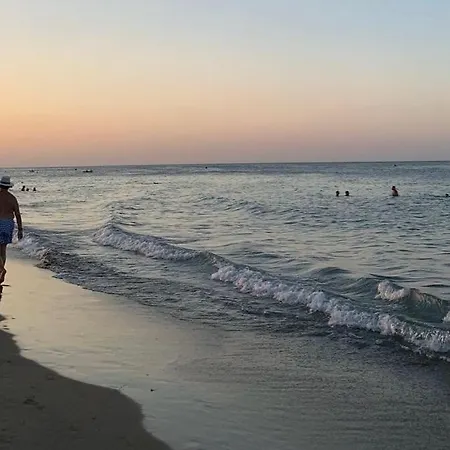 Estudio En El Castillo De デニア