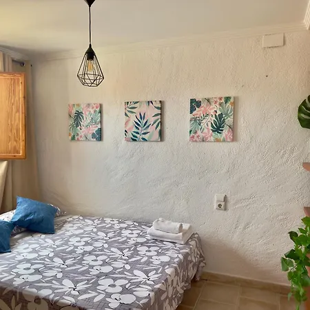 Estudio En El Castillo De * デニア